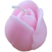 تصویر شمع لاله 