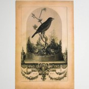 تصویر کاغذ عکاسی وینتیج عکس 