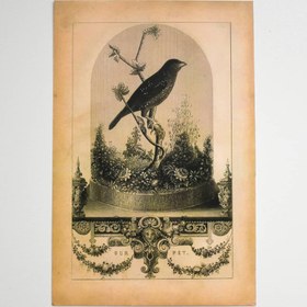 تصویر کاغذ عکاسی وینتیج عکس 