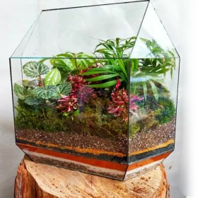 تصویر گلدان چند وجهی تراریوم (95) 