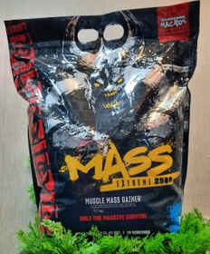 تصویر گینر مس لورولجندری LEVRO LEGENDRY MASS