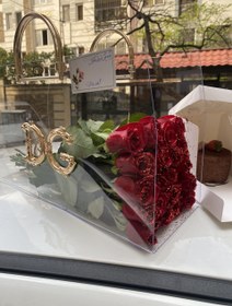 تصویر پارتی بگ رز قرمز 