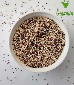 تصویر دانه کینوا سه رنگ 