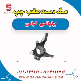 تصویر سگ دست عقب چپ برلیانس کراس 