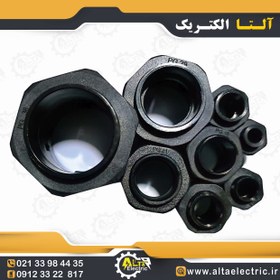 تصویر گلند آگرا PG16 