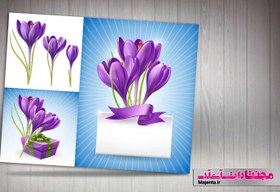 تصویر وکتور زعفران 01 