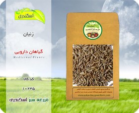 تصویر گیاه زنیان 