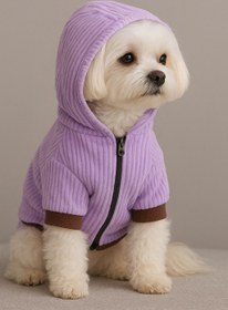 تصویر لباس گرم سگ هودی 