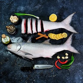 تصویر ماهی راشگو 