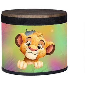 تصویر طبلک سیمبا همراه با کاور 