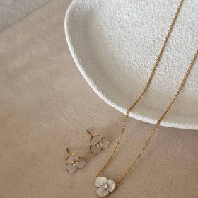 تصویر کالکشن : صدف طبیعی SEASHELL