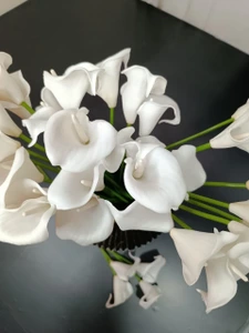 تصویر فروشگاه گلستونک