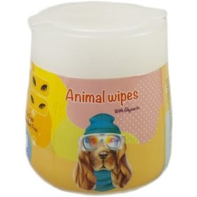 تصویر پد تخصصی چشم جی سی 