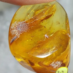 تصویر سنگ کهربا راف 