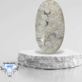 تصویر نگین فسیل سنگی مرجان 
