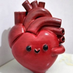 تصویر قلب آناتومیک کیوت 