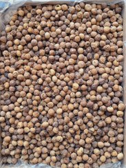 تصویر انجیر B لاکی استهبان 