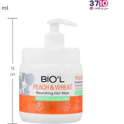 تصویر ماسک مو بیول مدل هلو و جوانه گندم حجم ۵۰۰ میلی لیتر مخصوص موهای خشک و فر 