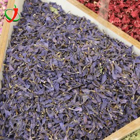 تصویر گل گاوزبان 