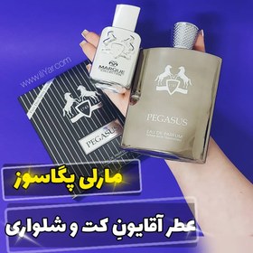 تصویر ادو پرفیوم مردانه فراگرنس ورد مدل pegasus حجم 100 میلی لیتر Fragrance World Pegasus Eau De Parfum For men 100ml