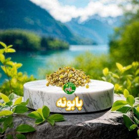 تصویر گیاه بابونه 