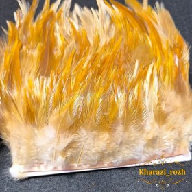 تصویر پر خروس متری - ۱۳ 