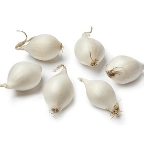 تصویر پیاز سفید ریز Small white onion