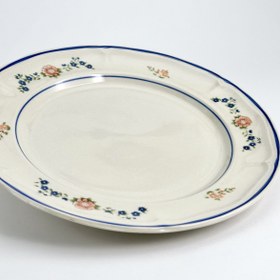 تصویر پلیت سنچری 