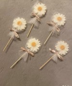 تصویر گیفت بابونه طرح ۲ 