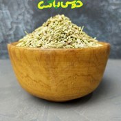 تصویر رازیانه 
