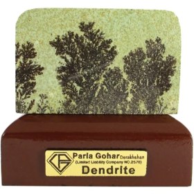 تصویر سنگ راف شجر فسیلی (دندریتی ) کد 2820 