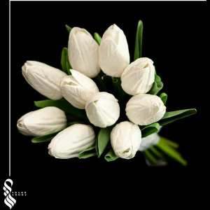 تصویر فروشگاه شهر عروس