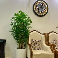 تصویر درختچه بامبو مصنوعی درجه یک 