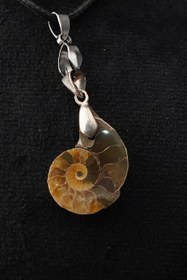 تصویر آویز فسیل آمونیت 