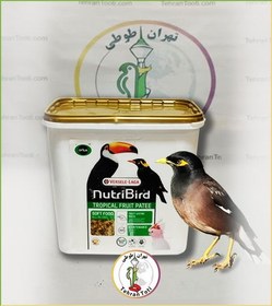 تصویر غذای مرغ مینا ورسلاگا 