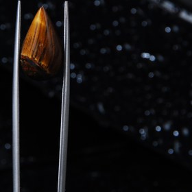 تصویر چشم ببر طلایی اشک 1.45 گرم 