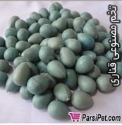 تصویر تخم مصنوعی قناری 