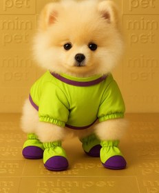 تصویر پاپوش سگ و گربه 