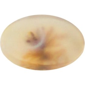 تصویر سنگ شجر پارلا گوهر کد 4084 