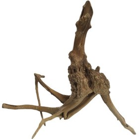 تصویر چوب تزیینی آبنوس مخصوص آکواریوم مدل ریشه مانگرو کد 10 