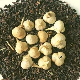 تصویر اسپند 