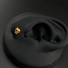 تصویر پیرسینگ طرح اسکلت 