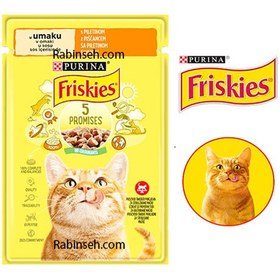 تصویر پوچ گربه با طعم مرغ فریسکیز 85 گرمی Friskies with Chicken In gravy 85gr