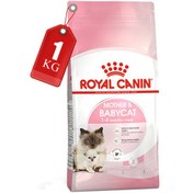 تصویر غذای خشک گربه رویال کنین مدل مادر اند بی بی (فله ای) - 1 کیلوگرم Royal Canin Mother & Baby Dry Cat Food