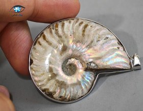 تصویر فسیل امونیت زیبا 13 گرم 