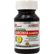 تصویر گارسینیا کامبوجیا اس تی پی فارما 30 کپسول Garcinia Cambogia STP Pharma 30Cap