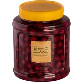 تصویر ترشی آلبالو (800 گرم) 