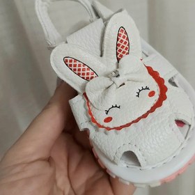 تصویر صندل خرگوشی 