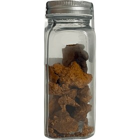 تصویر قارچ چاگا 