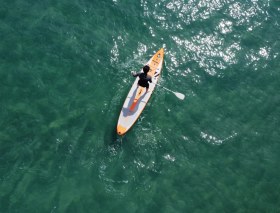 تصویر پدل برد RRD ایتالیا مدل نیمه ریس سرعتی 